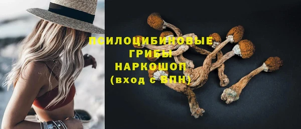 прущий лед Белоозёрский