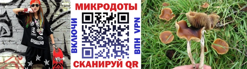 Галлюциногенные грибы Psilocybe  hydra маркетплейс  Куса 